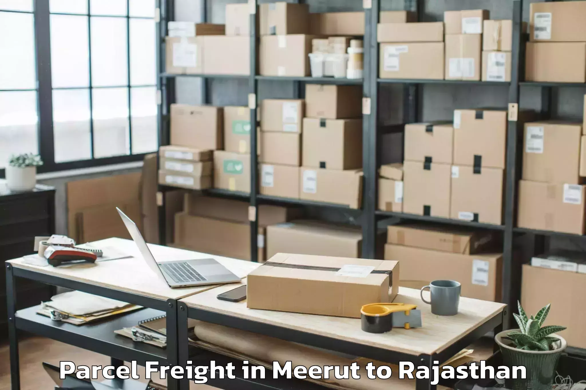 Comprehensive Meerut to Parvatsar Parcel Freight